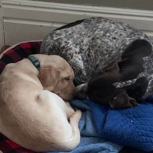 Meet your Posher, Tammy-rob